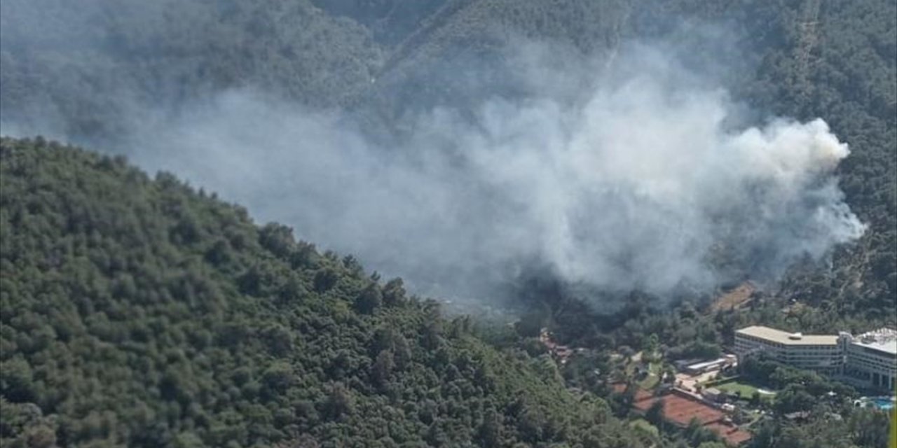İzmir'in 2 İlçesinde Çıkan Yangınlar Kontrol Altına Alındı