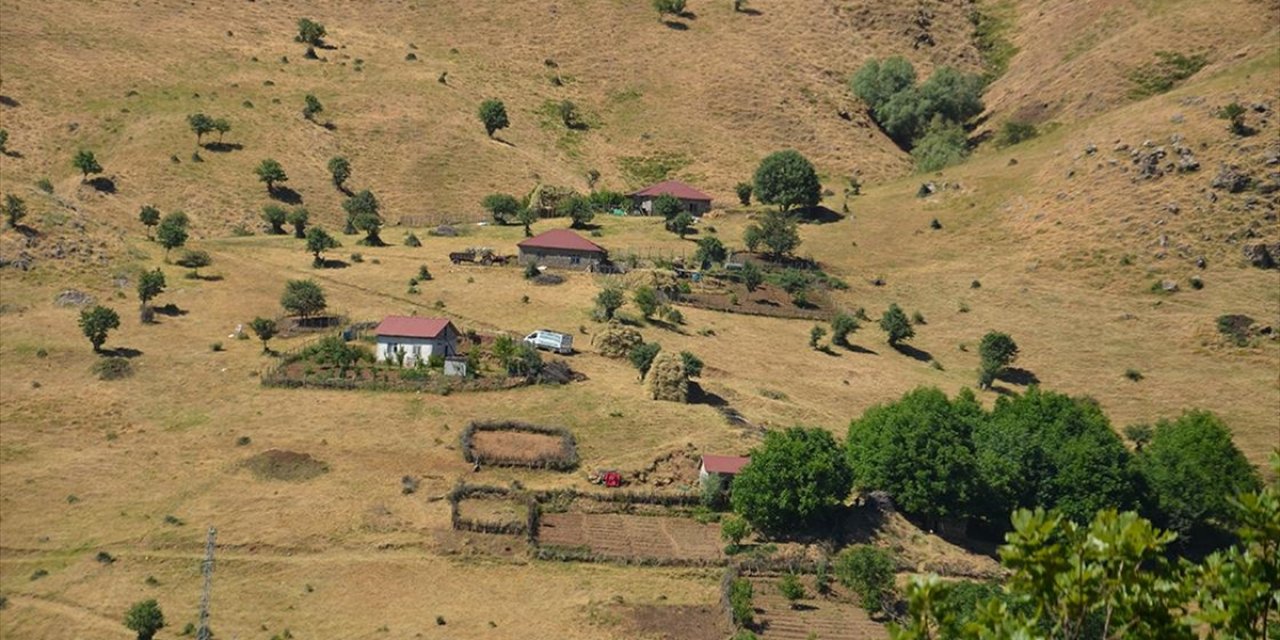 Muş'ta Huzur Ortamının Sağlandığı Şenyayla Bölgesine 100 Hane Dönüş Yaptı