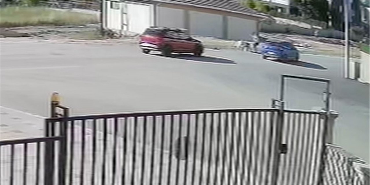 Bursa'da Köpeğini Gezdiren Kadına Başka Köpeklerin Saldırması Güvenlik Kamerasında