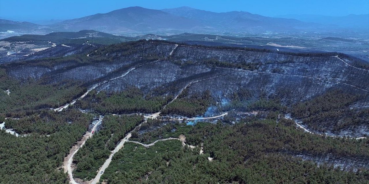 İzmir'de Yanan Orman Alanı Havadan Görüntülendi