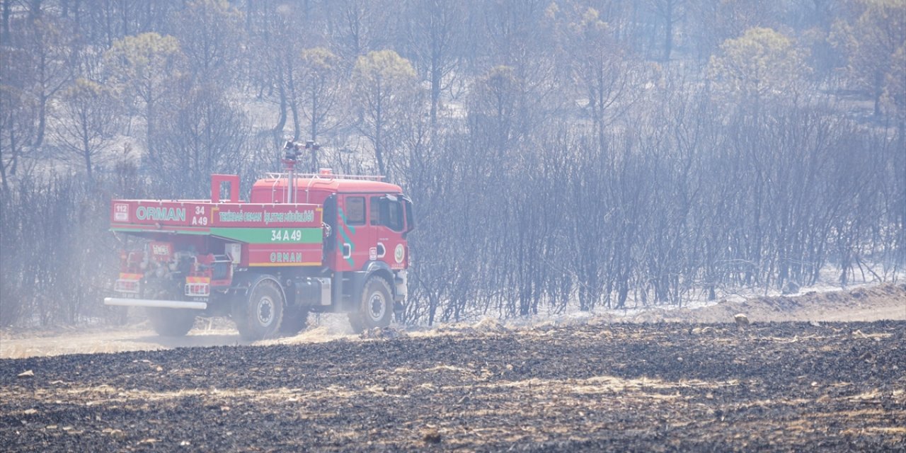Tekirdağ'da Çıkan Orman Yangınına Havadan ve Karadan Müdahale Ediliyor