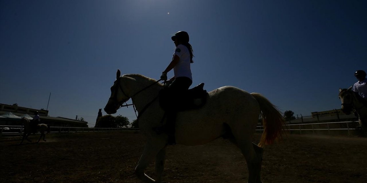 At Üzerinde Diploma Alan Üniversiteliler, Atçılık Sektörünün Nitelikli Eleman İhtiyacını Karşılayacak