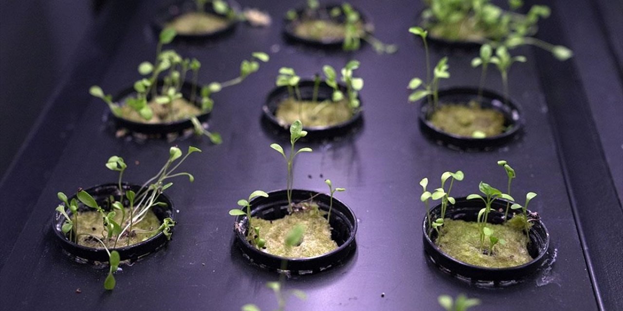 Hayalindeki Topraksız Tarım Makinelerini Üreten Girişimcinin Hedefi İhracat