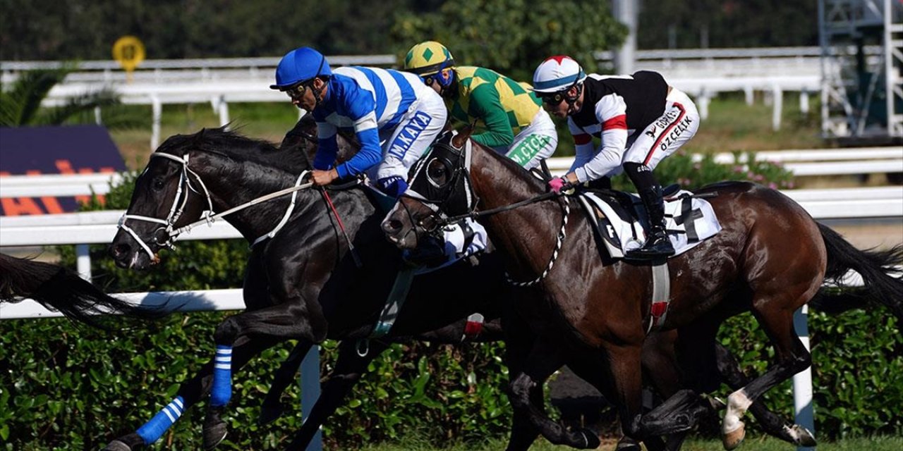 At Yarışlarında Gazi Koşusu Heyecanı Yarın Yaşanacak