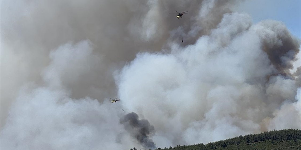 Orman Yangınlarına Havadan ve Karadan Müdahale Ediliyor