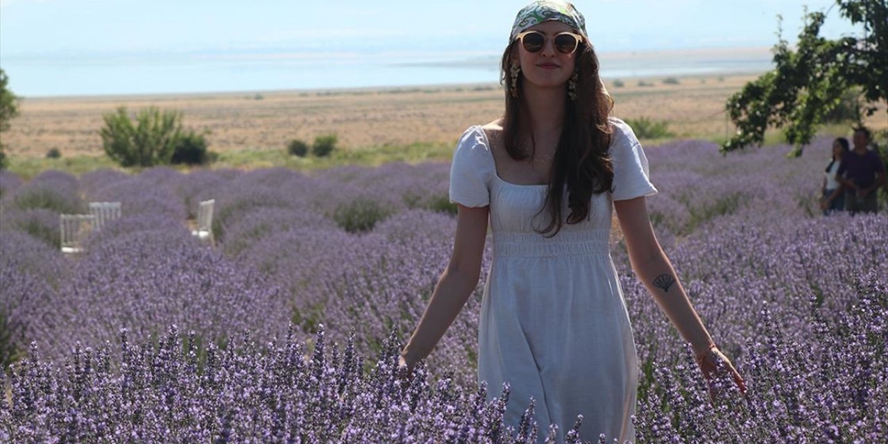 Burdur'da Lavanta Hasat ve Sanat Günleri'nde "Mor Bahçelerde" Hasat Başladı