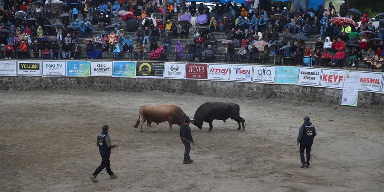 Rize'de "29. Çamlıhemşin Ayder Kültür, Sanat ve Doğa Festivali" Sona Erdi