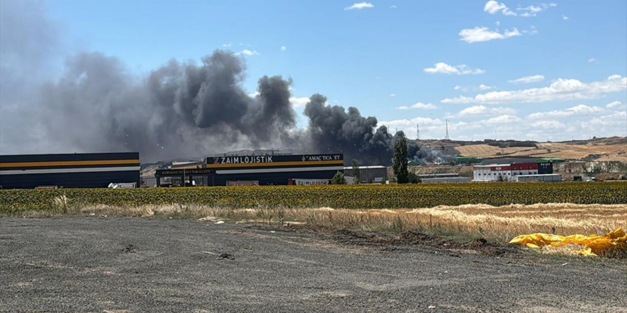 Tekirdağ'da Geri Dönüşüm Tesisinde Çıkan Yangın Söndürüldü