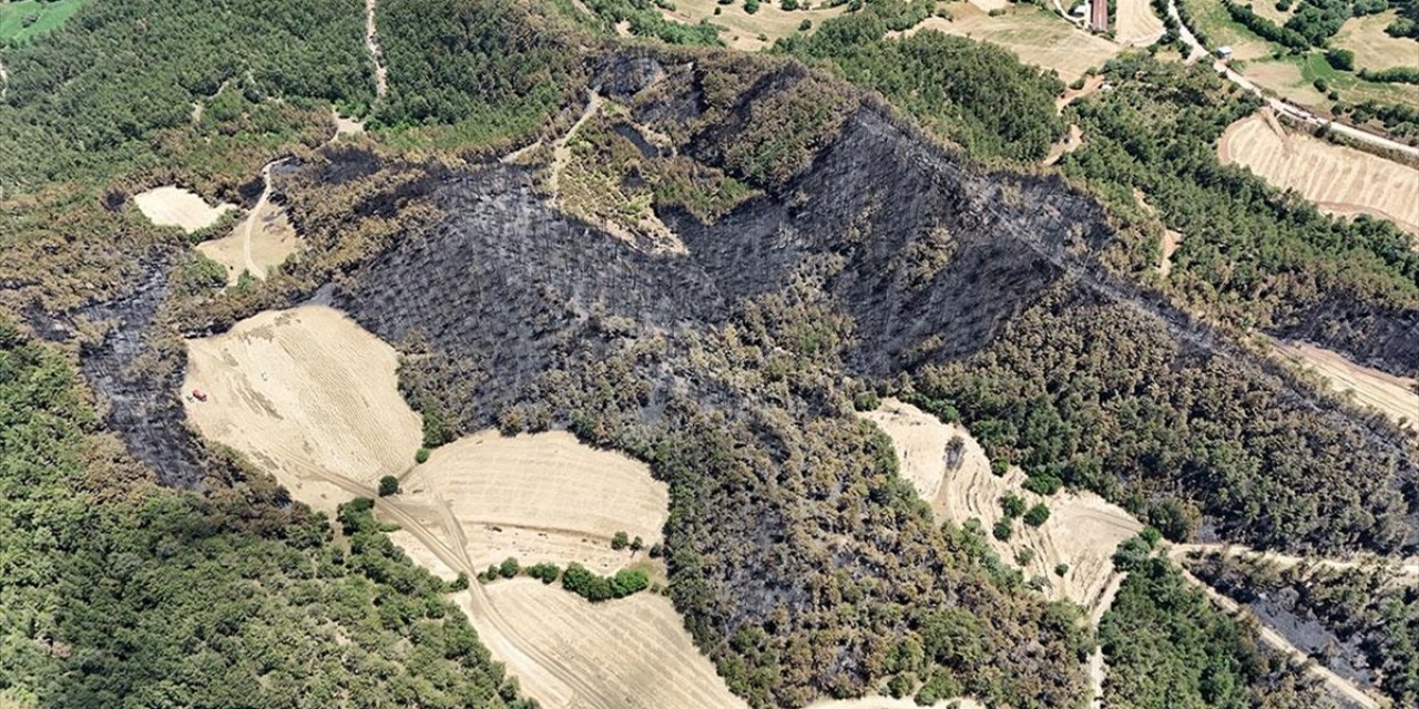 Bolu Göynük'teki Orman Yangınında 35 Hektarlık Alan Zarar Gördü