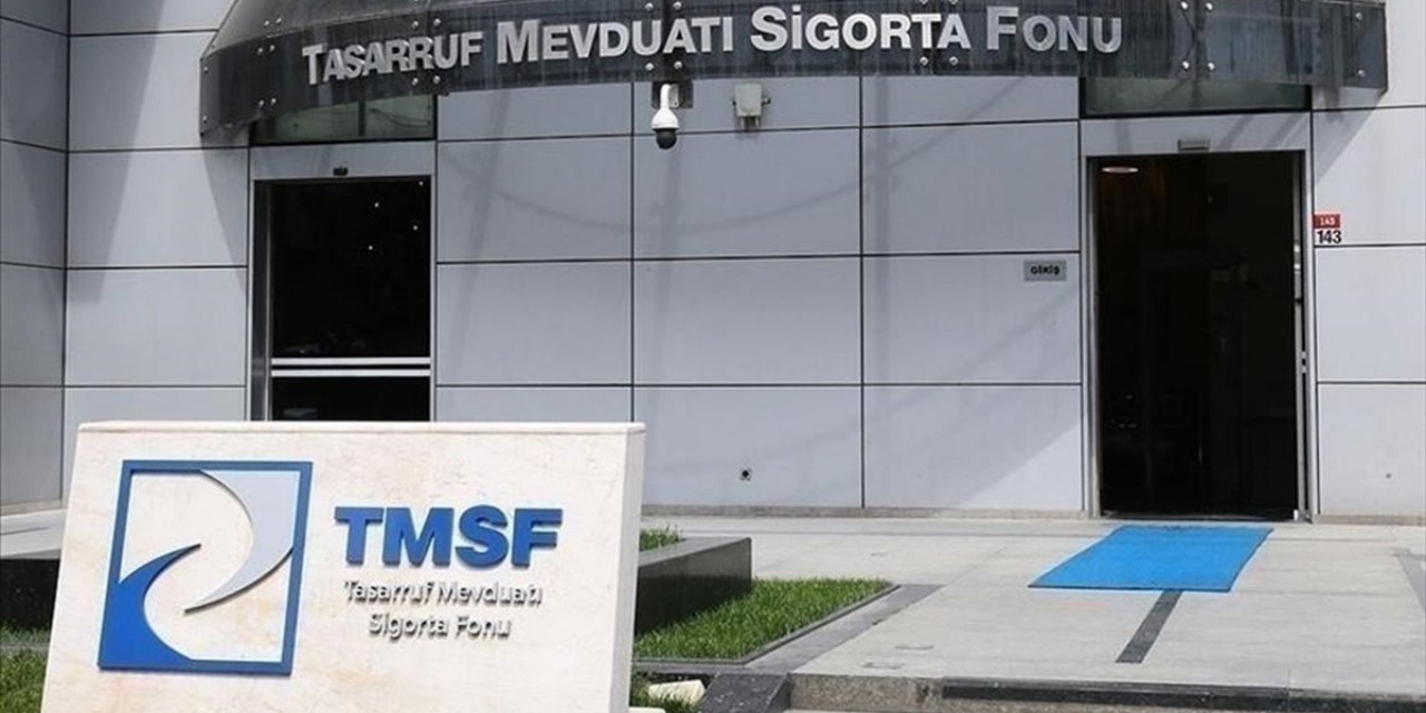 TMSF, İstikbal Mobilya ve Akfel Gaz Grubu Bütünlüğü'nü Satışa Çıkardı