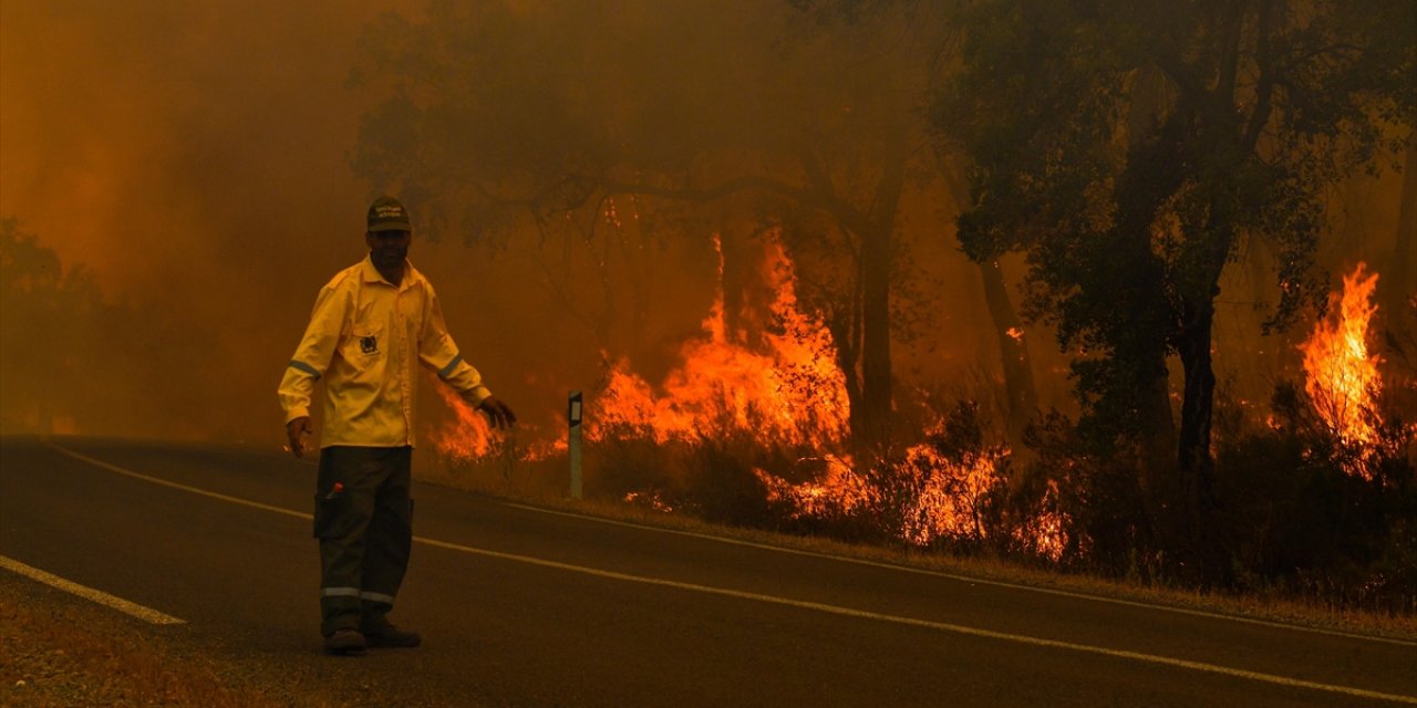 Fas'ta 12 Hektarlık Alanı Yok Eden Orman Yangını Kontrol Altına Alınmaya Çalışılıyor