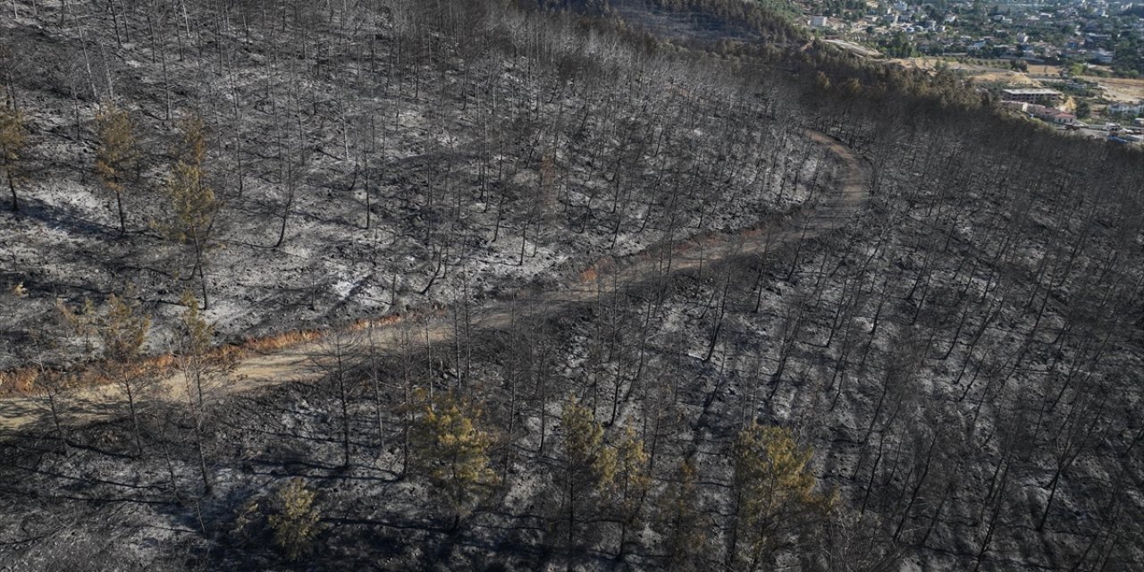 Hatay'daki Orman Yangınında Zarar Gören Alanlar Dronla Görüntülendi