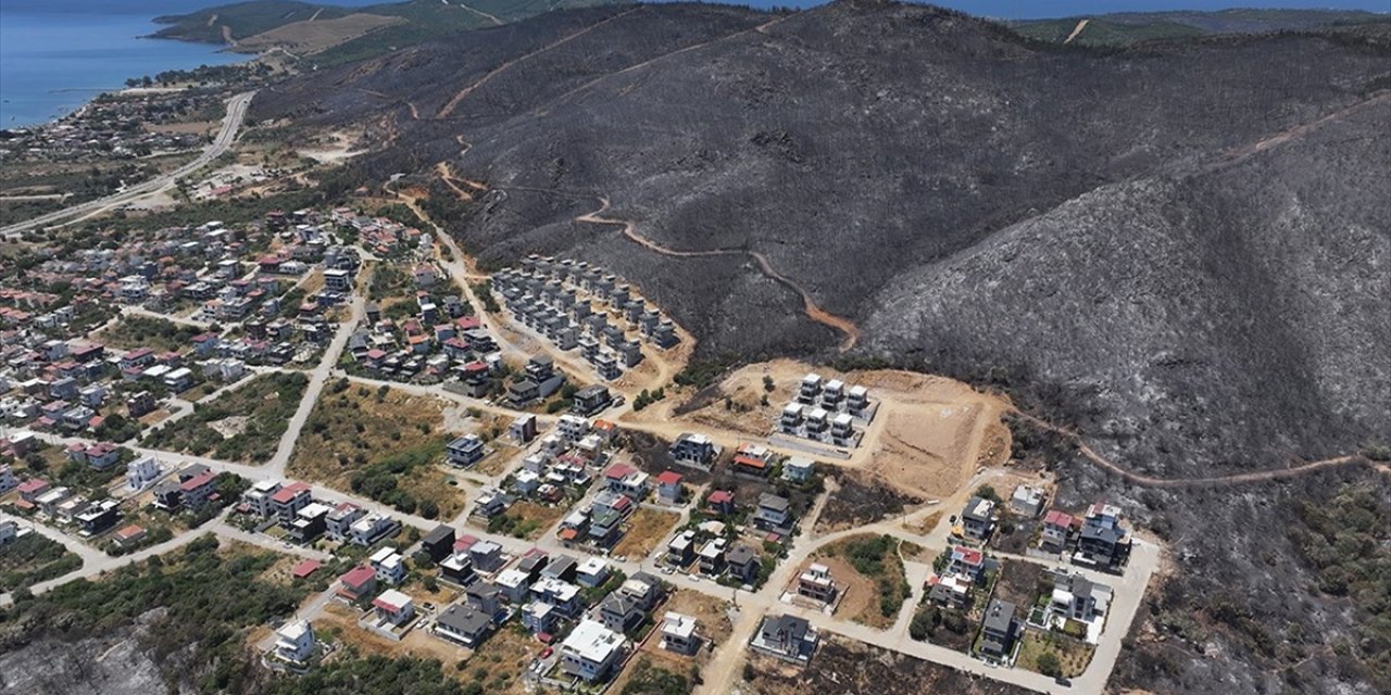 İzmir ve Bilecik'in Orman Yangınından Etkilenen İlçeleri "Genel Hayata Etkili Afet Bölgesi" İlan Edildi