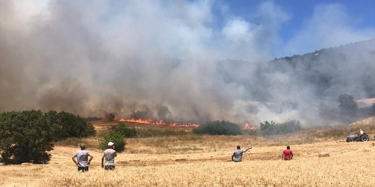 Bursa'nın Yenişehir İlçesinde Çıkan Orman Yangını Kontrol Altına Alındı