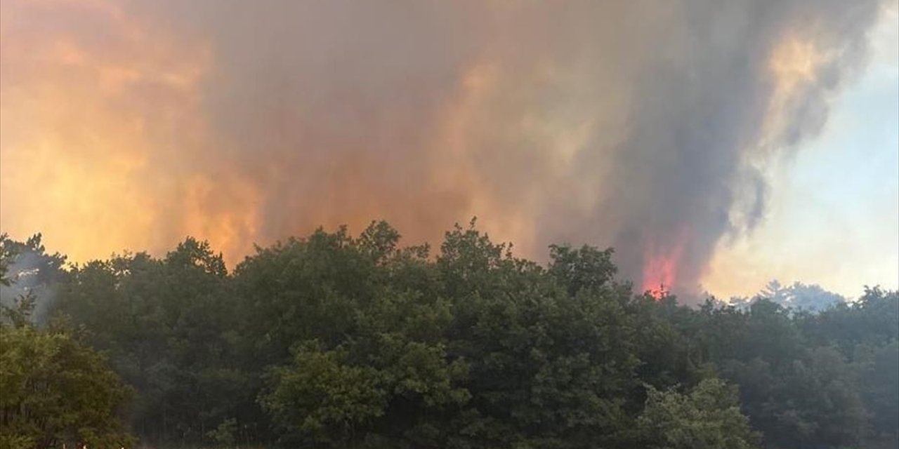 Eskişehir'de Çıkan Orman Yangını Kontrol Altına Alındı