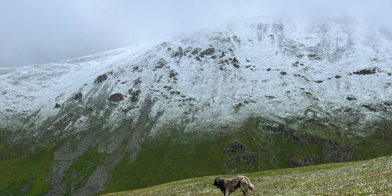 Rize, Trabzon ve Bayburt'un Yüksek Kesimleri Temmuzda Beyaza Büründü