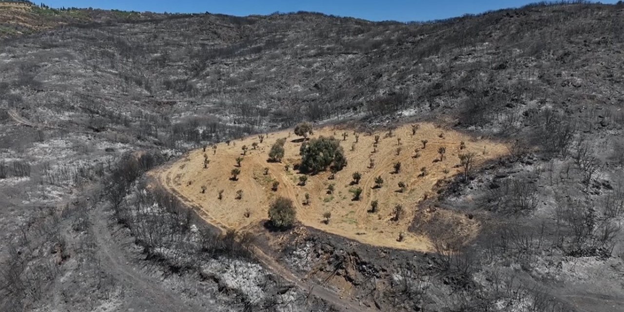 İzmir'de Önceden Otlardan Temizlenen Bahçe Yangından Etkilenmedi