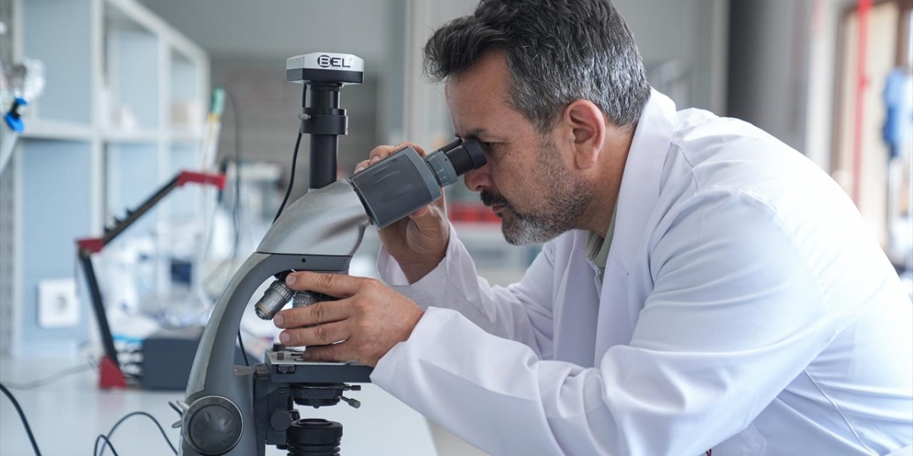 Yazın Soğuk Zinciri Kırılan Gıdalar Hastalıklara Davetiye Çıkarıyor