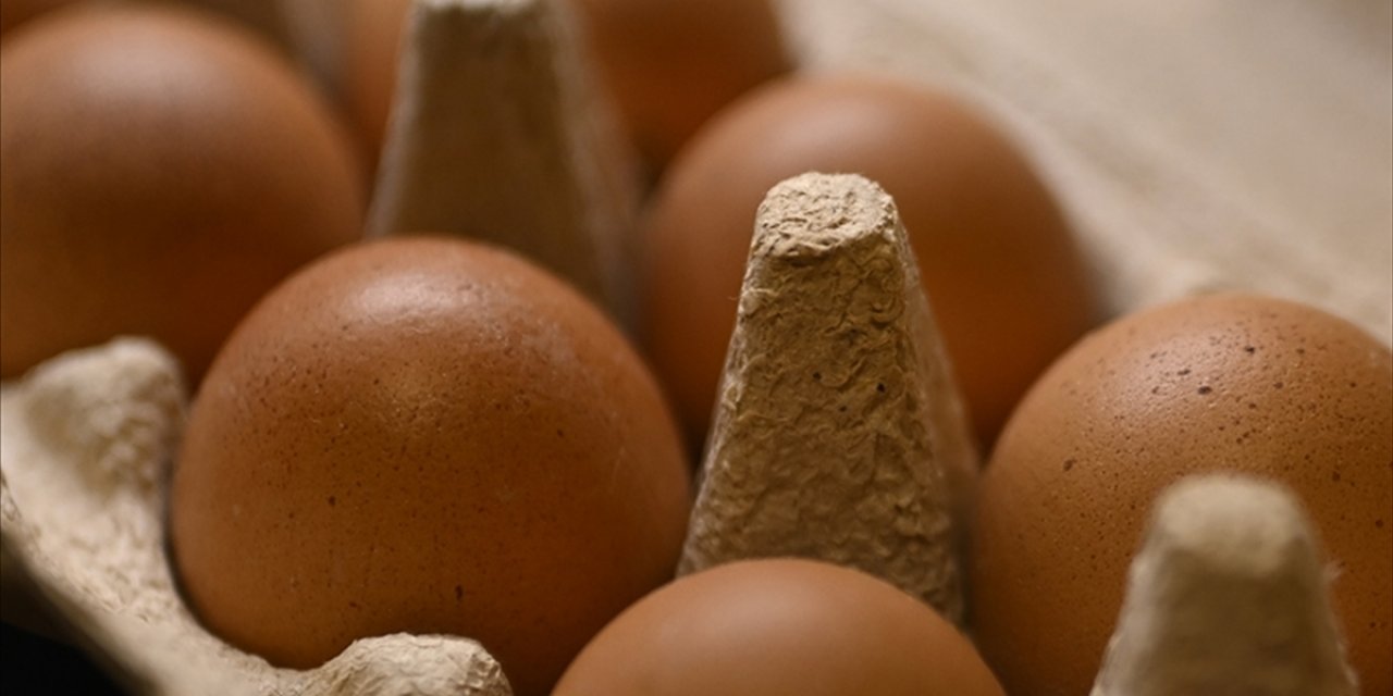 Tavuk Yumurtalarının İhracatı Kayda Bağlandı
