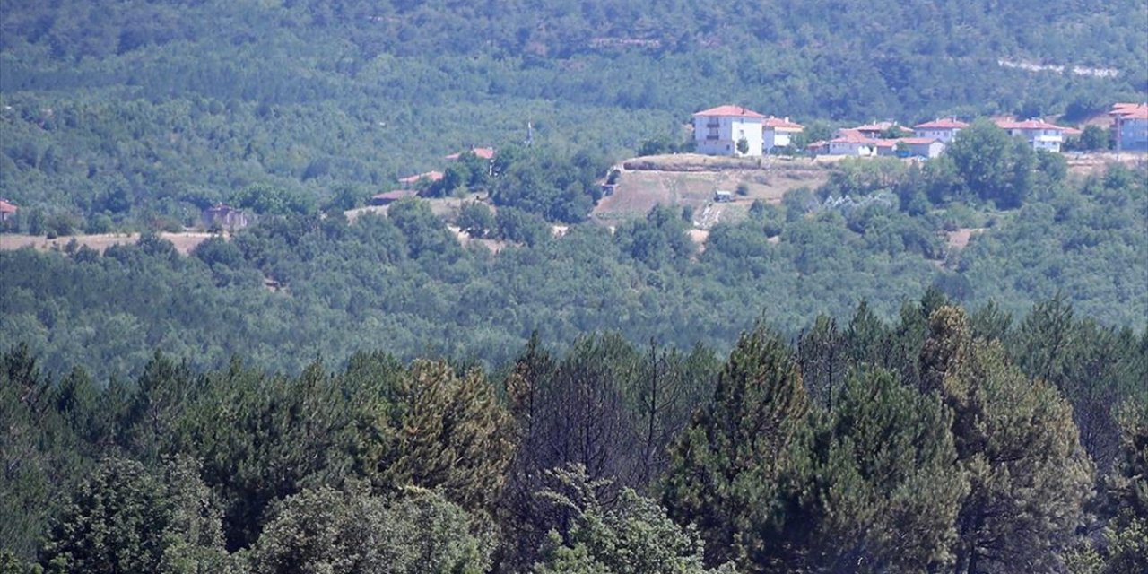 Kastamonu İçin Yüksek Sıcaklık ve Orman Yangını Uyarısı