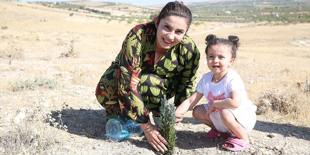 Şanlıurfalı Gönüllü, 63 Bin Fidanı Toprakla Buluşturmaya Hazırlanıyor