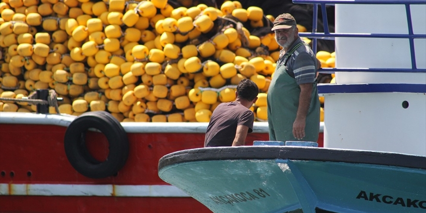 Balıkçıların Gözünü Meclise Çeviren Kanun Yolda