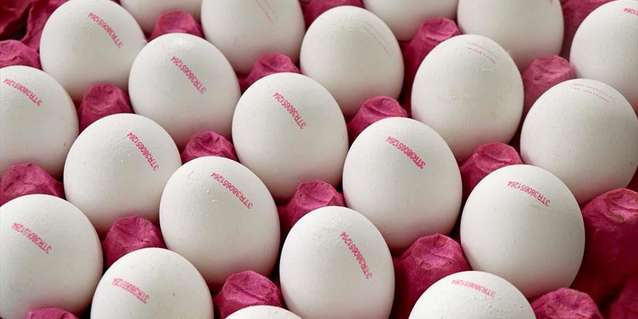 Yumurta İsrafının Önlenmesine Yönelik Düzenleme Yapıldı
