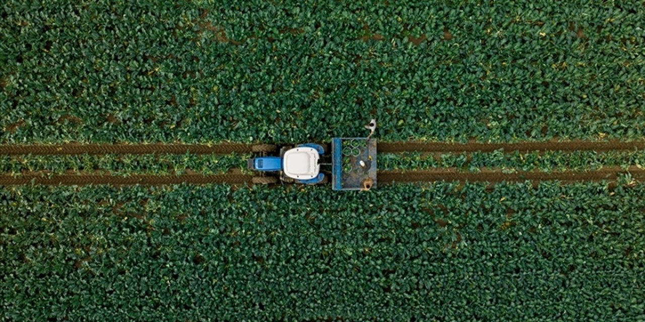 Çiftçilere 1,7 Milyar Liralık Destekleme Ödemesi Bugün Yapılacak