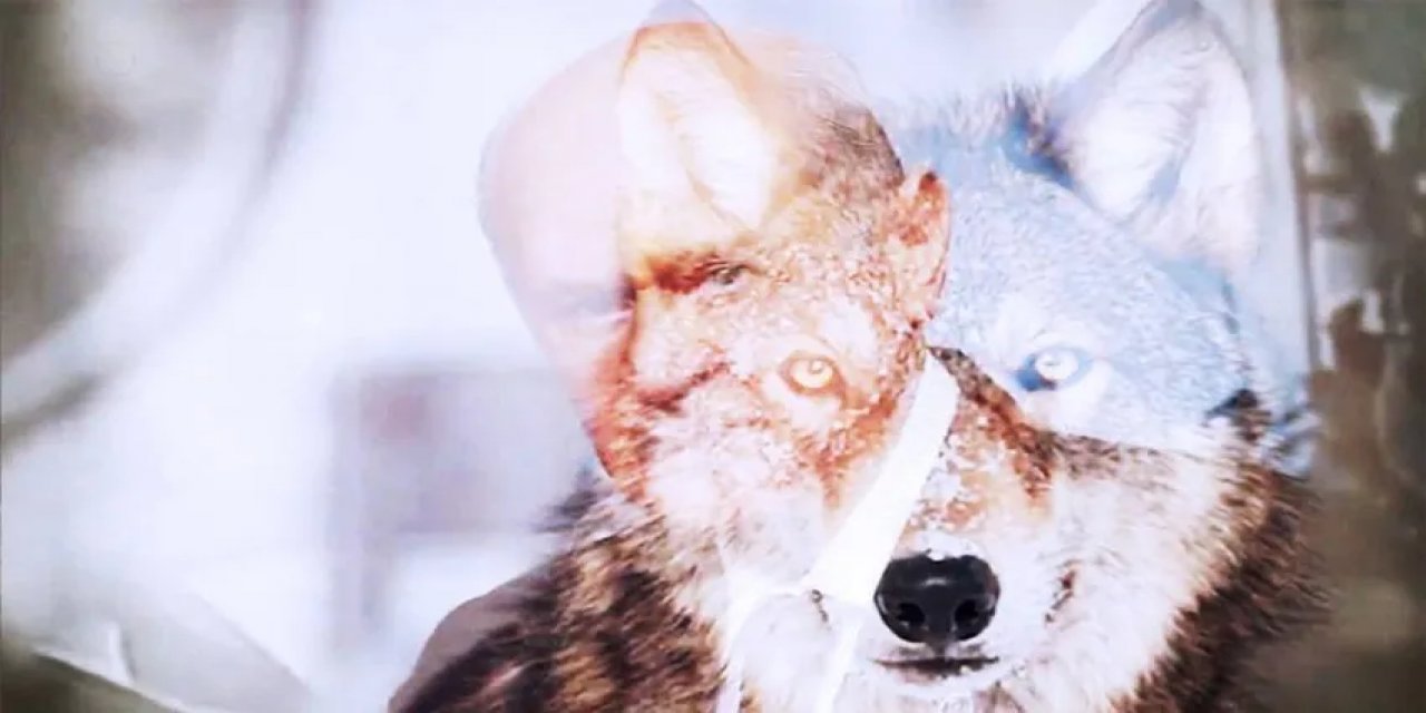 Bahçeli istedi, "Terörsüz Türkiye" İçin Türkü Bestelendi: İşte O Klip