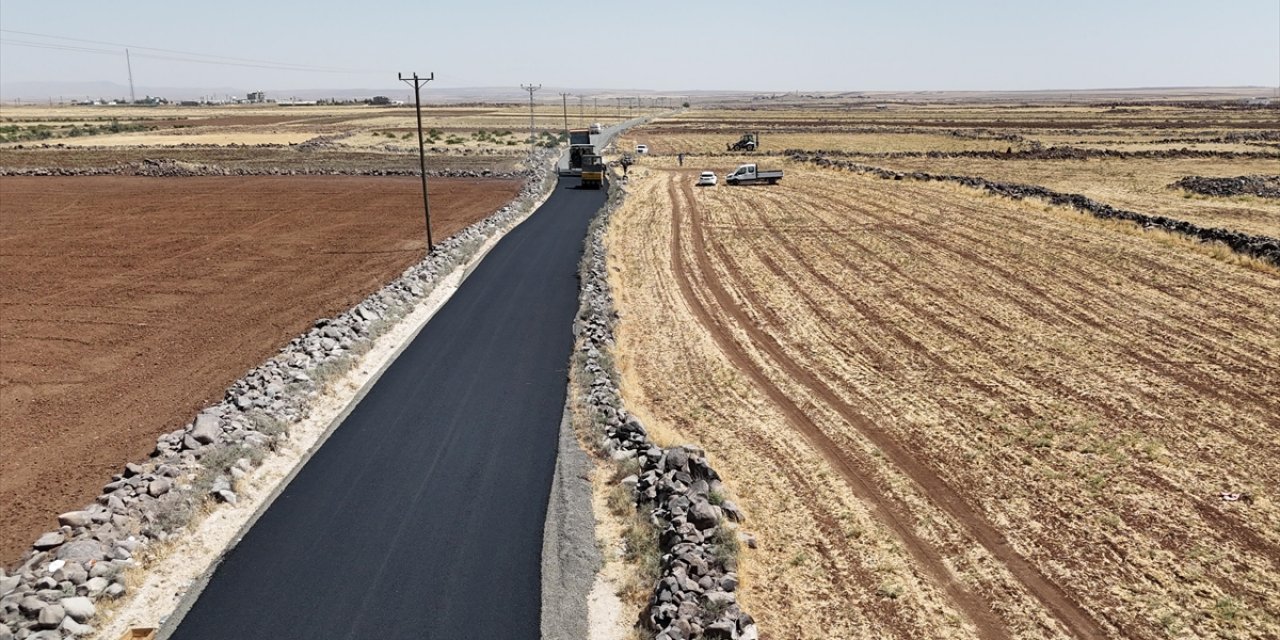 Şırnak'ta Atıl Araziler Tarıma Kazandırılıyor, Toplanan Taşlarla Köy Yolları Asfaltlanıyor