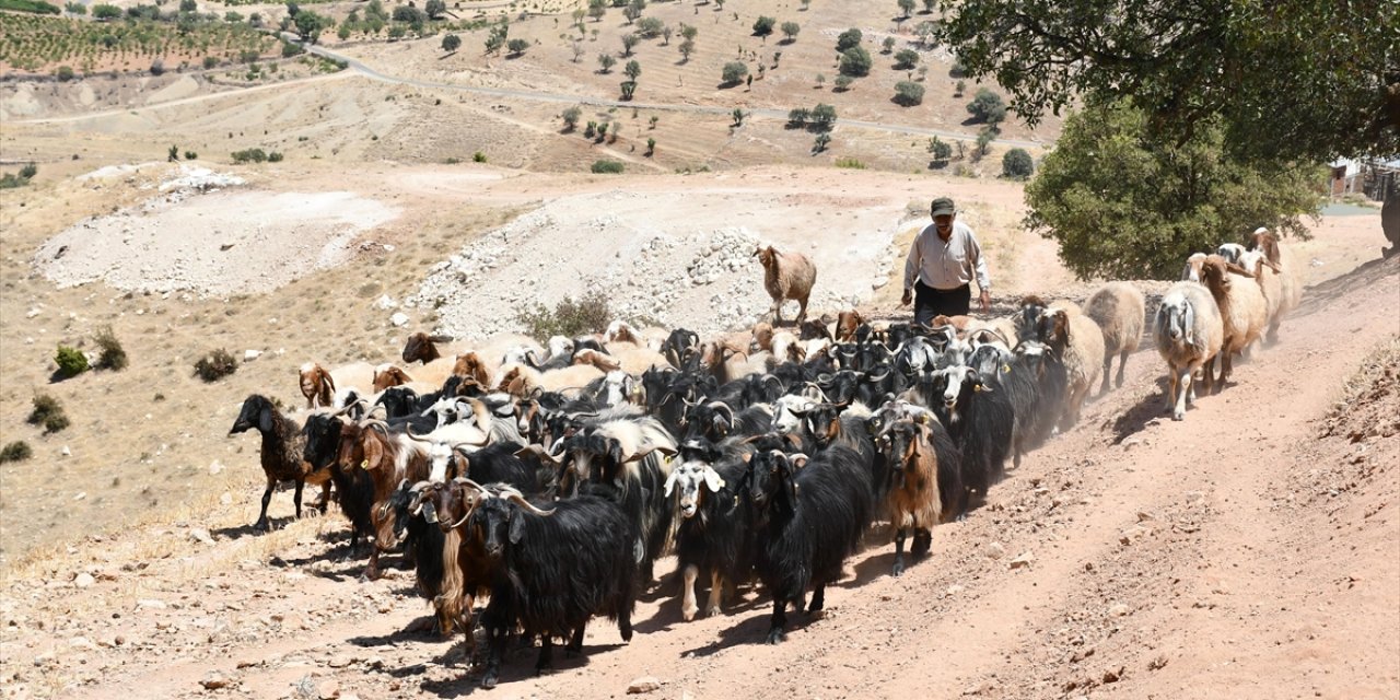 Batman'da Besiciler Kavurucu Sıcaklarda Hayvanların Su İhtiyacını Sarnıçlardan Karşılıyor