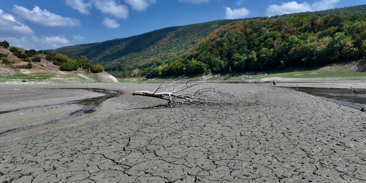 Batı Karadeniz'de Kuraklık Hasanlar Barajı'ndaki Su Seviyesini Düşürdü