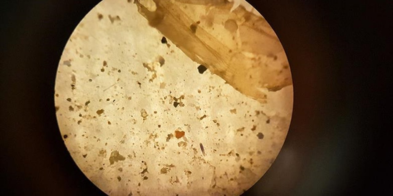 İnsanlar, Günde On Binlerce Mikroplastik Parçacığı Soluyor Olabilir