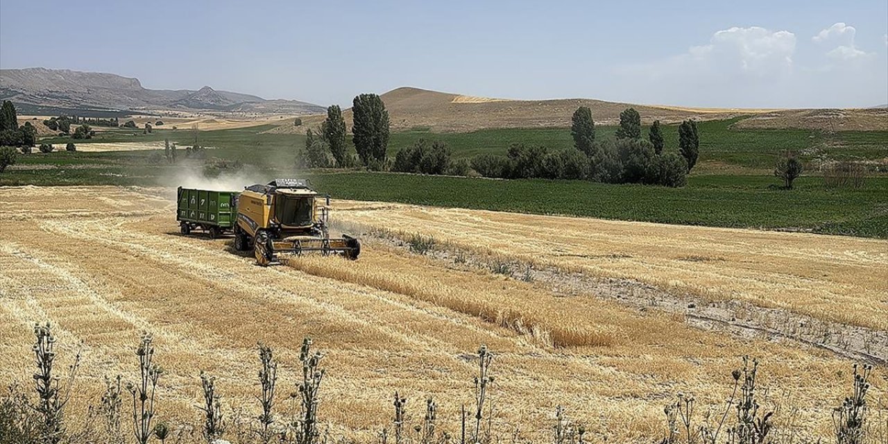 Ekili Tarım Arazisi Yüzde 22 Artan Kayseri'de Üretici Sayısı 32 Bine Ulaştı