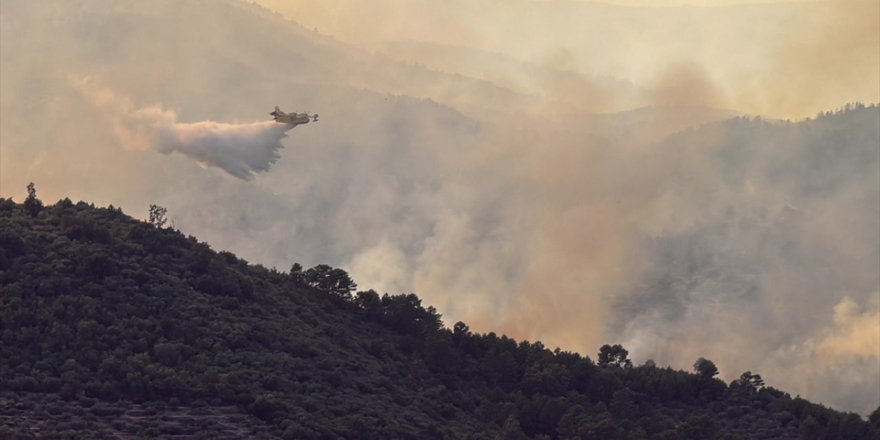 Alarm Durumundaki Portekiz'de Orman Yangınlarıyla Mücadele Devam Ediyor