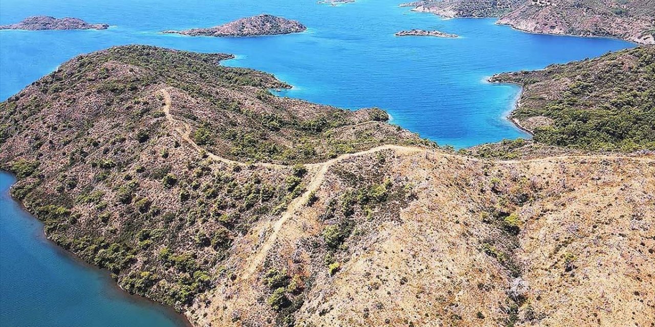 Marmaris'te Yanan Ormanlık Alanlar Yeniden Yeşeriyor