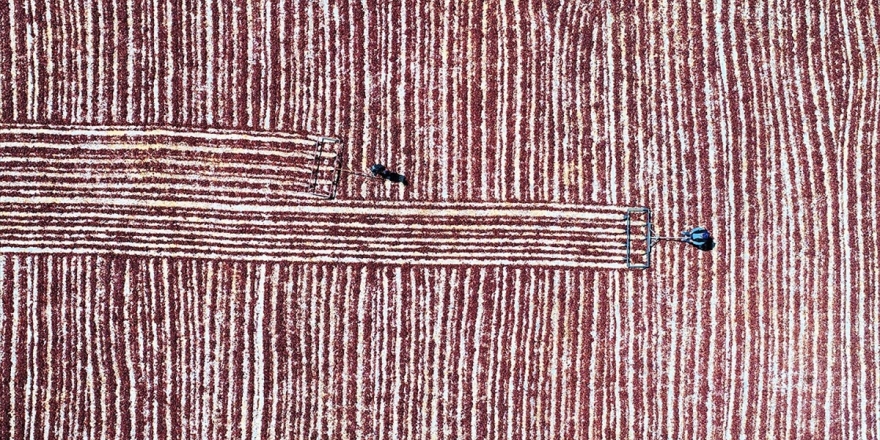 Türkiye'nin 'Acısı' 91 Ülkeyi Yaktı