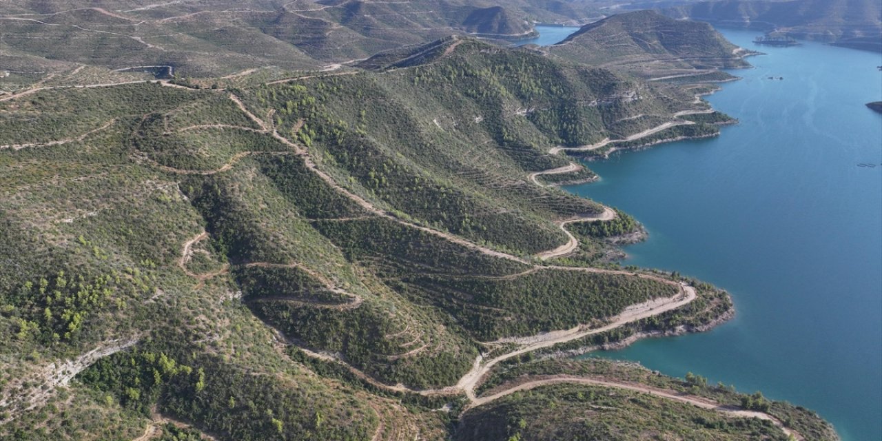 Manavgat'ta Yanan Ormanlık Alanlar Yeniden "Yeşil Örtü" İle Kaplanıyor