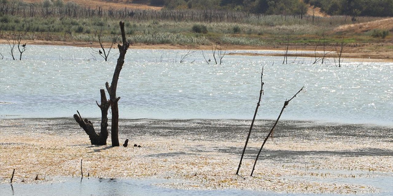Tekirdağ'daki Yazır Göleti'nin Su Seviyesi Kuraklığın Etkisiyle Yüzde 4'e Düştü