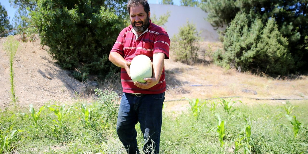 Yakınlarını Kanserden Kaybedince Organik Tarıma Yönelerek Üretici Oldu