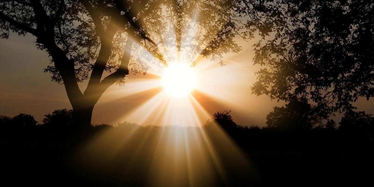 Orman Genel Müdürlüğü, İklim Değişikliği İle Mücadele İçin 5 Yıllık Yol Haritası Hazırladı