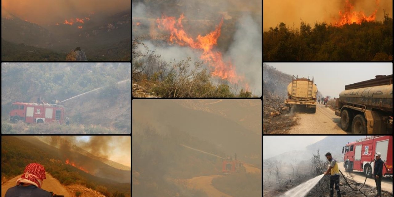 Suriye'nin Lazkiye ve Hama İllerinde Orman Yangınları Çıktı