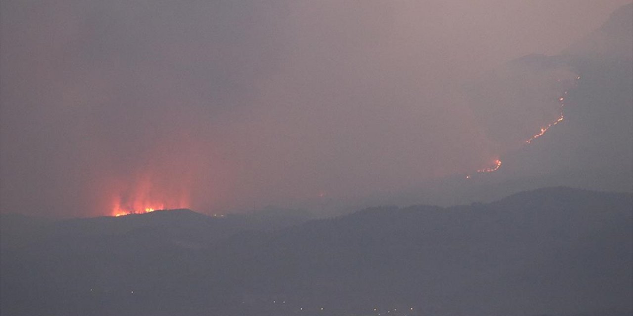 Suriye'de Lazkiye, Tartus ve Hama'daki Orman Yangınları Sürüyor