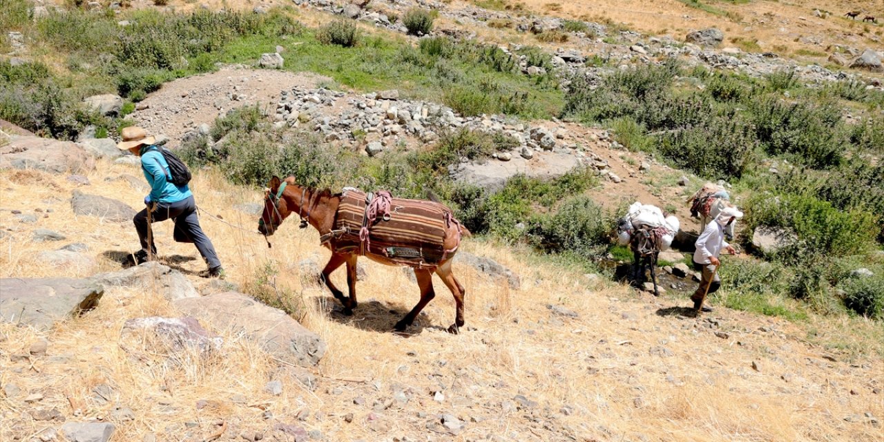 Hakkari'deki Zirvelere Tırmanan Dağcıların Ağır Yükünü Katırlar Hafifletiyor