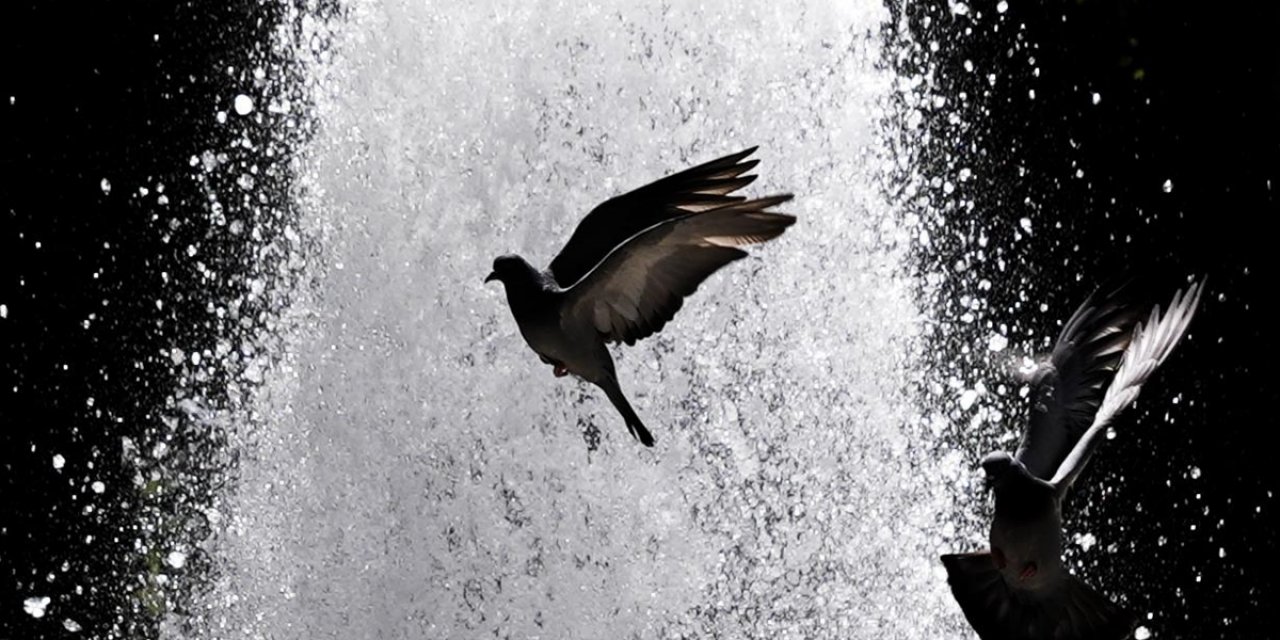 Son Aylardaki Yüksek Sıcaklıklar Tarım ve Çevreyi Olumsuz Etkiliyor