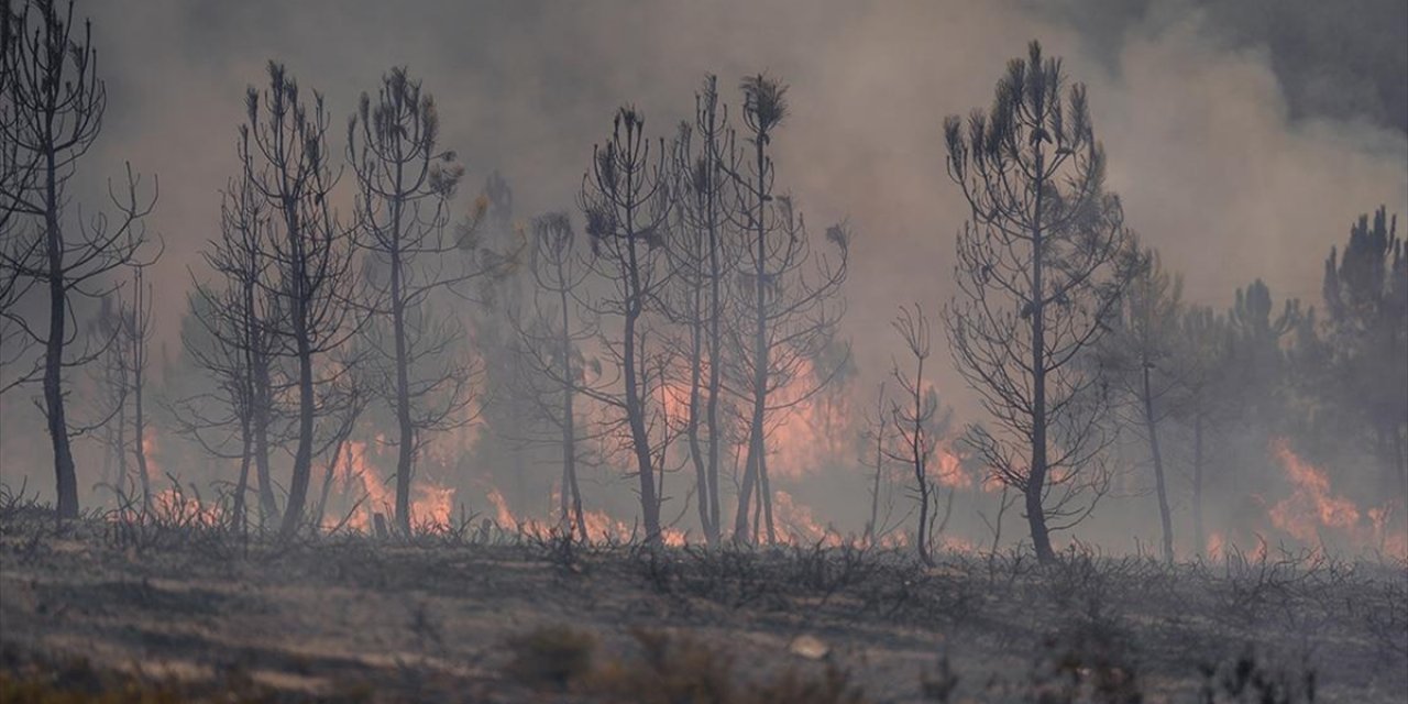 İspanya'daki Yangın Söndürme Çalışmalarında Hayatını Kaybedenlerin Sayısı 4'e Çıktı