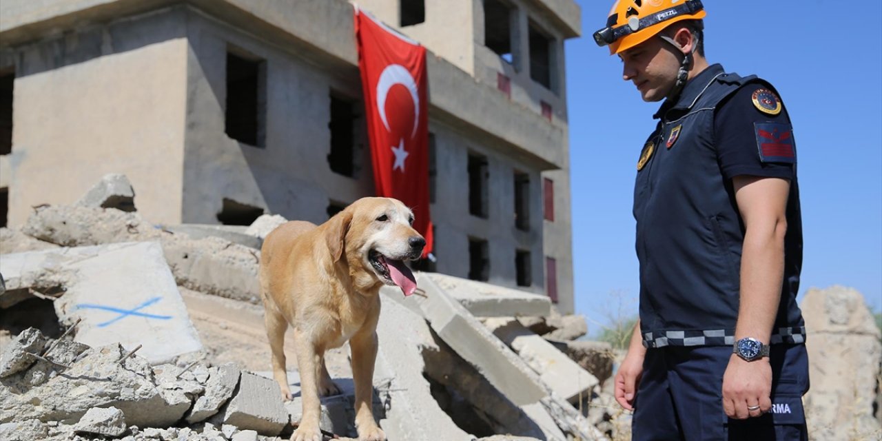 Kadavra Arama Köpeği "Pusat" Jandarmanın En Büyük Yardımcısı