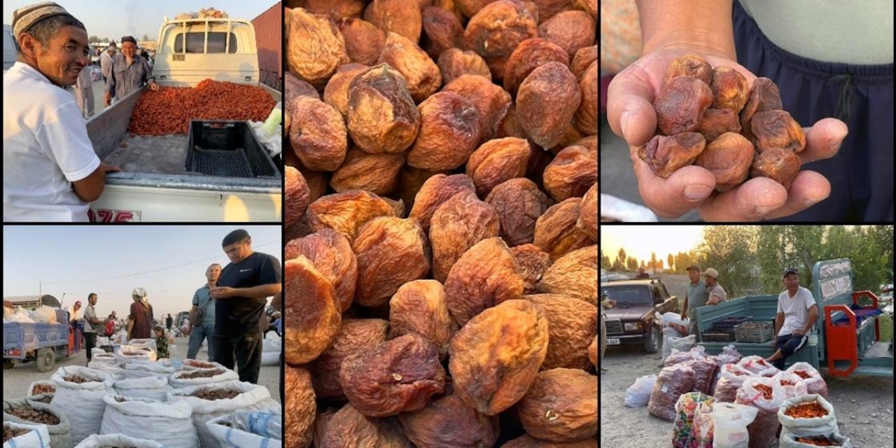 Kırgızistan'ın Batken Şehrindeki Kuru Kayısı Pazarı Hareketlendi