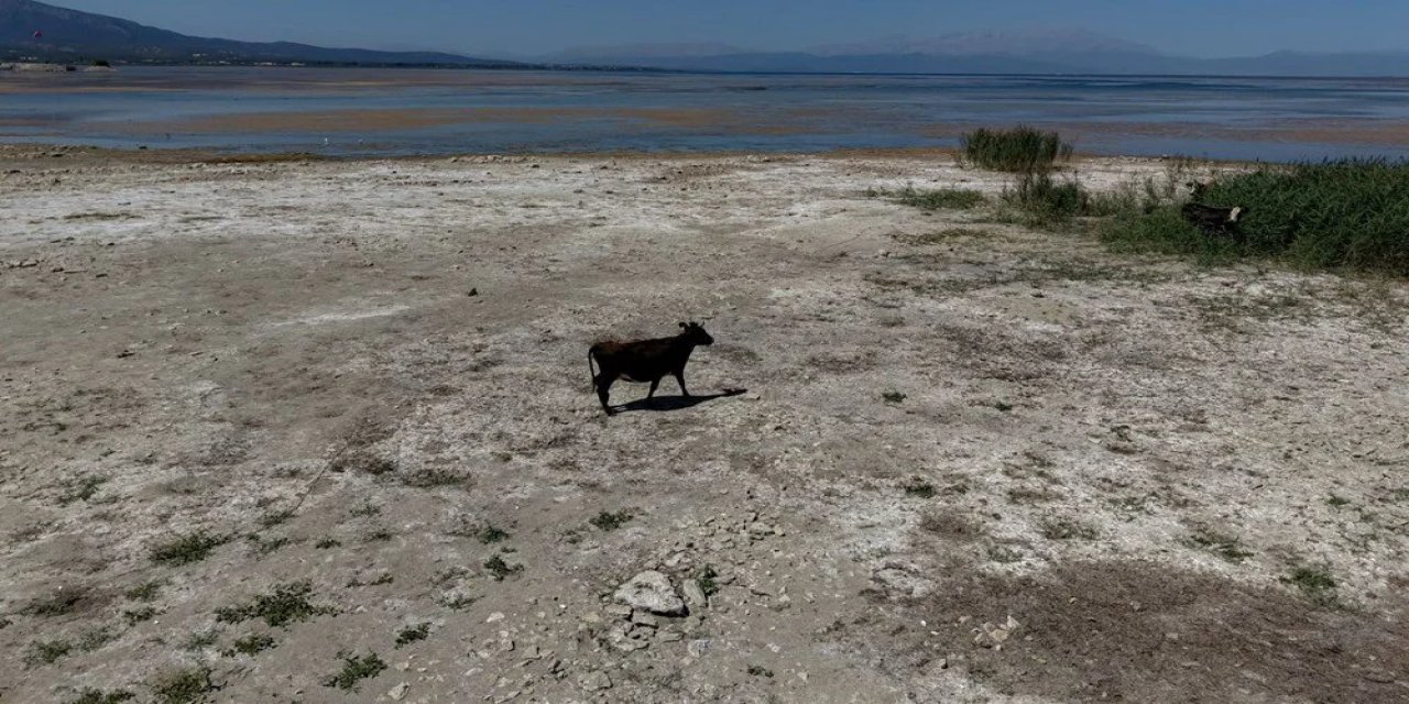 Türkiye'nin En Büyük Tatlı Su Gölü Kurumak Üzere: "Göl Vefat Etti! Türkiye'nin Başı Sağ Olsun"