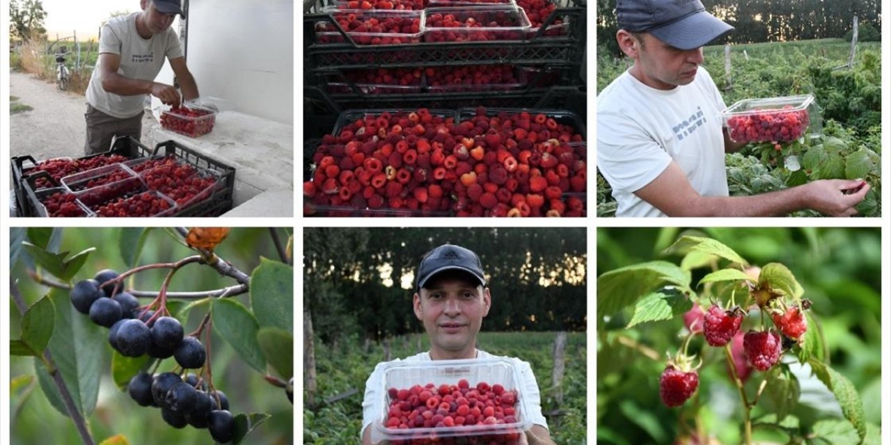 Atıl Araziyi Meyve Bahçesine Dönüştürerek Üretici Oldu